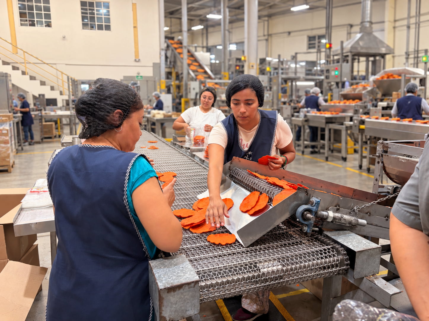 Equipo de producción revisando tostadas durante el proceso